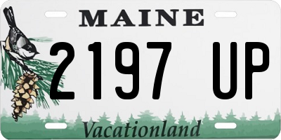 ME license plate 2197UP