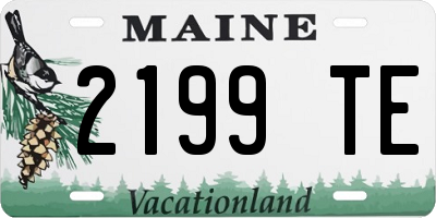ME license plate 2199TE