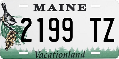 ME license plate 2199TZ