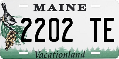 ME license plate 2202TE