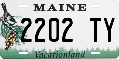 ME license plate 2202TY