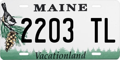 ME license plate 2203TL