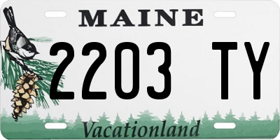 ME license plate 2203TY