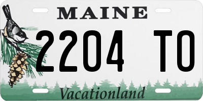 ME license plate 2204TO