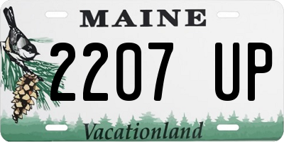 ME license plate 2207UP