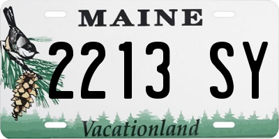 ME license plate 2213SY