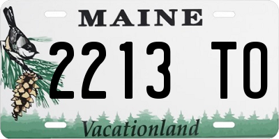 ME license plate 2213TO