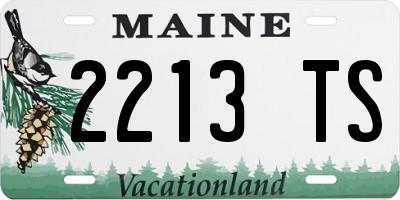 ME license plate 2213TS