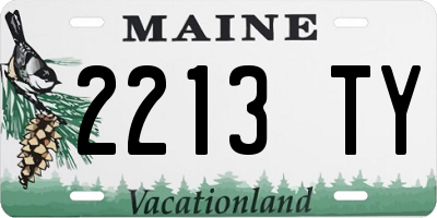 ME license plate 2213TY