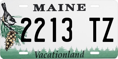 ME license plate 2213TZ