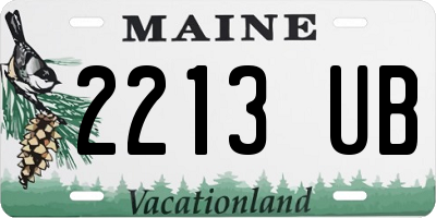 ME license plate 2213UB