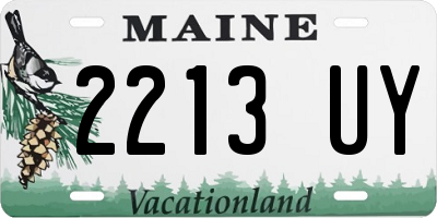 ME license plate 2213UY