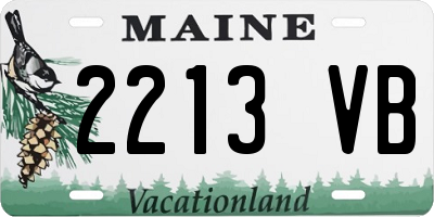 ME license plate 2213VB