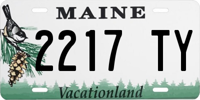 ME license plate 2217TY