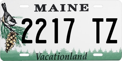 ME license plate 2217TZ