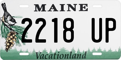 ME license plate 2218UP