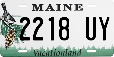 ME license plate 2218UY