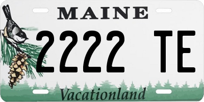 ME license plate 2222TE