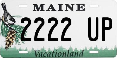 ME license plate 2222UP