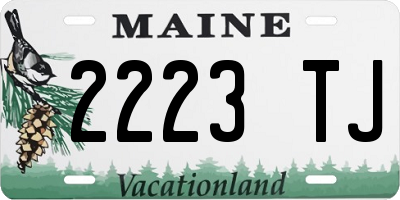 ME license plate 2223TJ