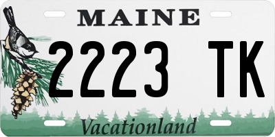 ME license plate 2223TK