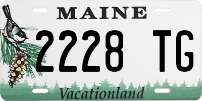 ME license plate 2228TG