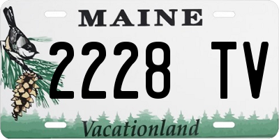 ME license plate 2228TV