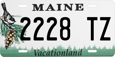 ME license plate 2228TZ