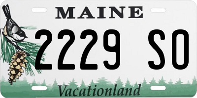 ME license plate 2229SO