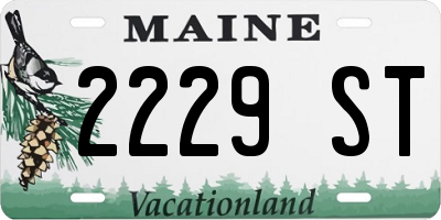 ME license plate 2229ST