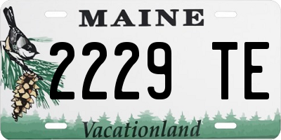 ME license plate 2229TE