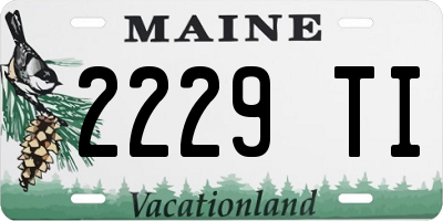 ME license plate 2229TI