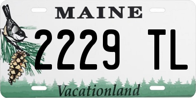 ME license plate 2229TL