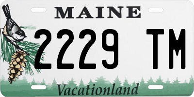 ME license plate 2229TM