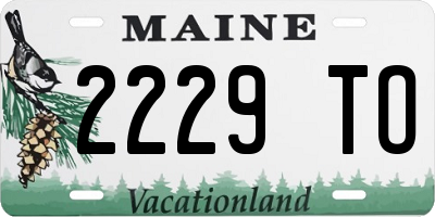 ME license plate 2229TO
