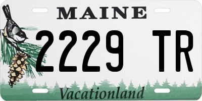 ME license plate 2229TR