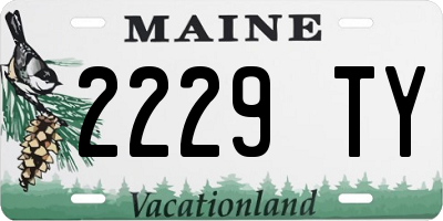 ME license plate 2229TY