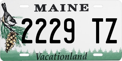 ME license plate 2229TZ