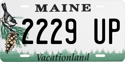 ME license plate 2229UP