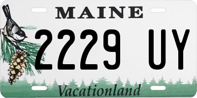 ME license plate 2229UY