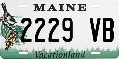 ME license plate 2229VB