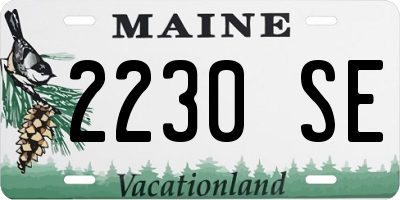 ME license plate 2230SE