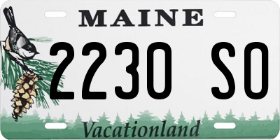 ME license plate 2230SO