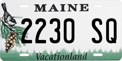 ME license plate 2230SQ