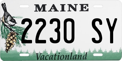 ME license plate 2230SY