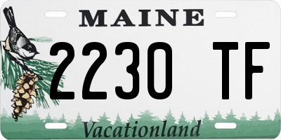 ME license plate 2230TF