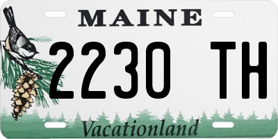 ME license plate 2230TH