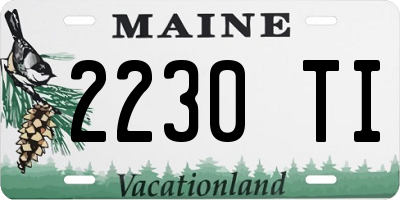 ME license plate 2230TI