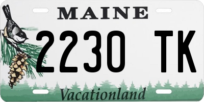 ME license plate 2230TK