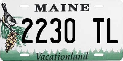 ME license plate 2230TL